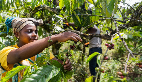 Eastern and Southern Africa Awards Mid-Term Evaluation Contract for Food...